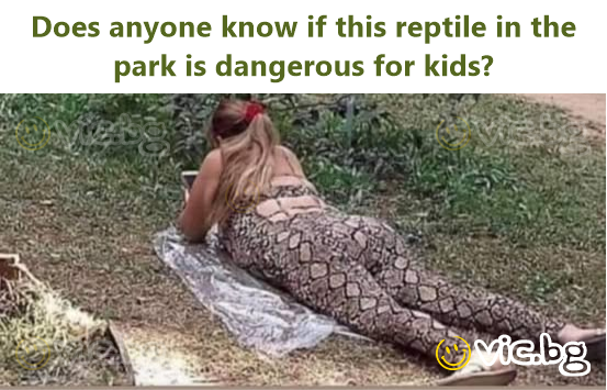 Does anyone know if this reptile in the park is dangerous for kids?