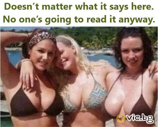 Doesn’t matter what it says here. No one’s going to read it anyway.