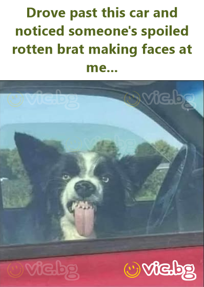 Drove past this car and noticed someone's spoiled rotten brat making faces at me...