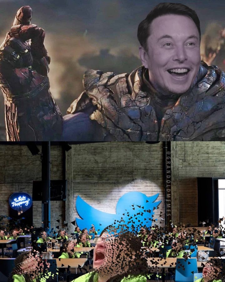Elon musk firing twitter Executives