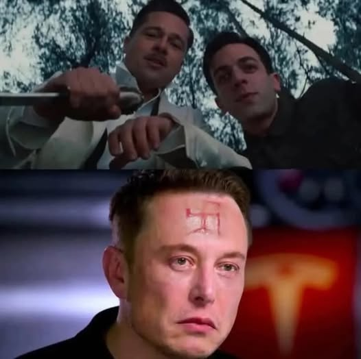 Elon naci