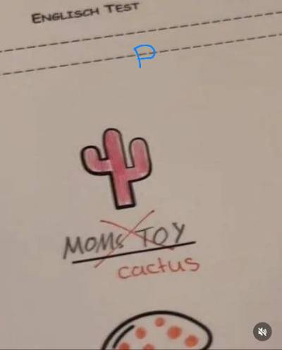 English test Mom's toy Cactus