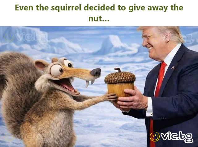 Even the squirrel decided to give away the nut…