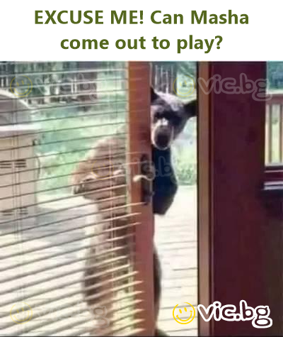 EXCUSE ME! Can Masha come out to play?