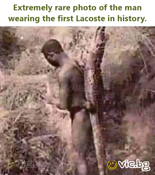 Extremely rare photo of the man wearing the first Lacoste in history.