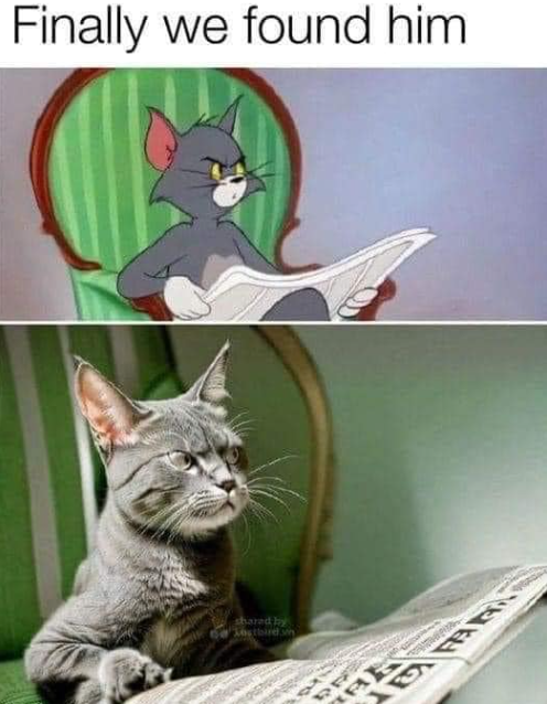 Finally we found him