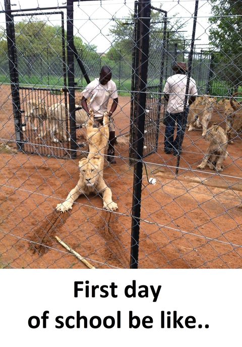 First day at school be like ...
