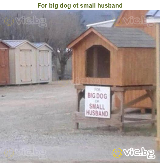 For big dog ot small husband