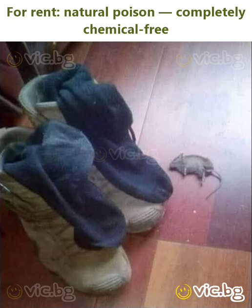 For rent: natural poison — completely chemical-free