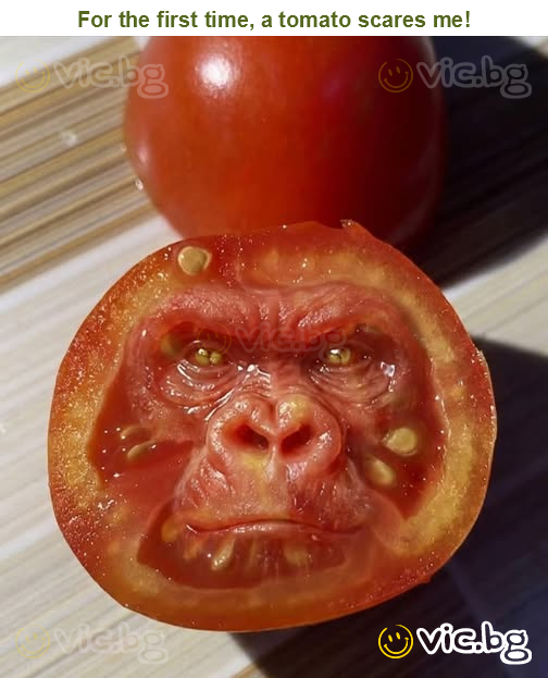 For the first time, a tomato scares me!