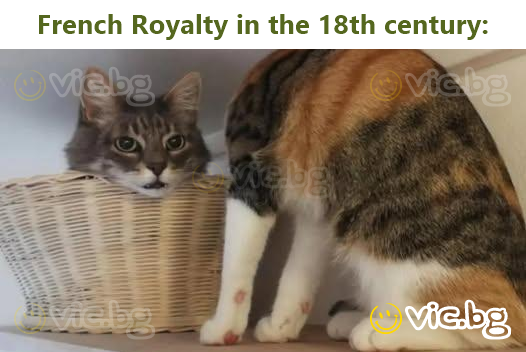 French Royalty in the 18th century:
