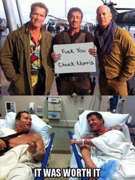 Fuck you Chuck Norris!<br />It was worth it