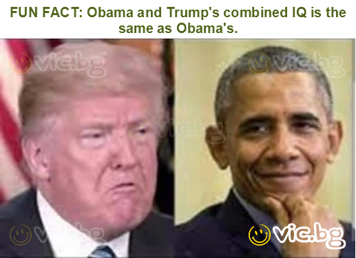 FUN FACT: Obama and Trump's combined IQ is the same as Obama's.
