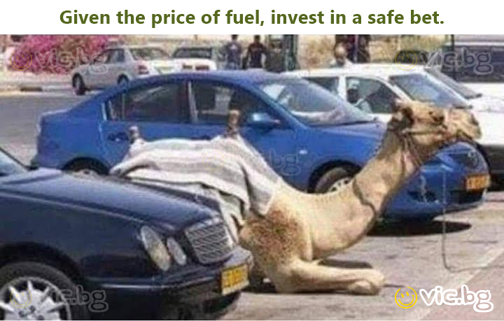 Given the price of fuel, invest in a safe bet.