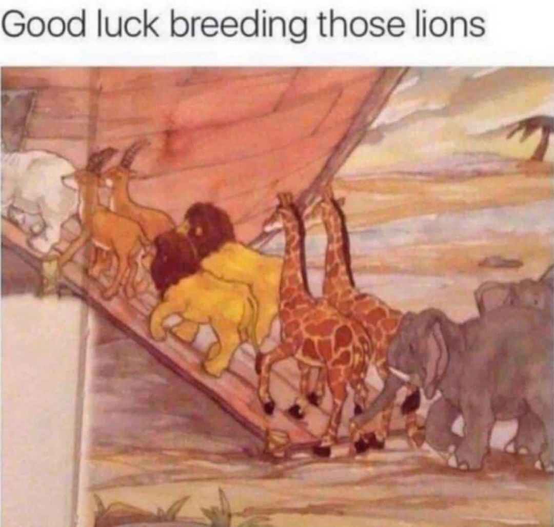 Good luck breeding those lions