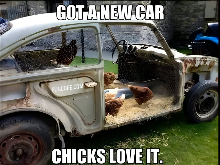 Got a new car. Chicks love it.