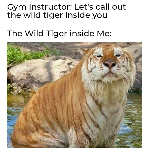 Gym instructor: Let's call out the wild tiger inside you! The wild tiger inside me