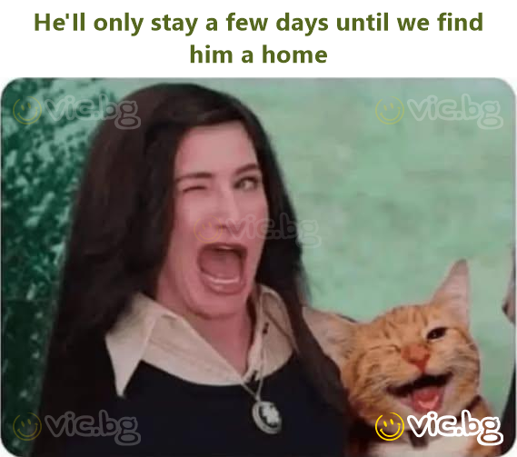 He'Il only stay a few days until we find him a home