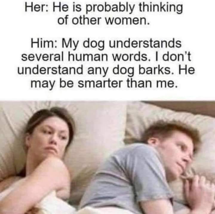 Her: He is probably thinking of Other women. Him: My dog understands several human words. I don't understand any dog barks.  He may be smarter than me.