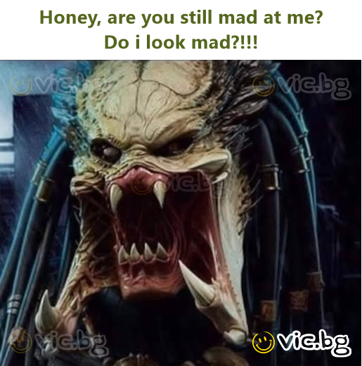 Honey, are you still mad at me? Do i look mad?!!!