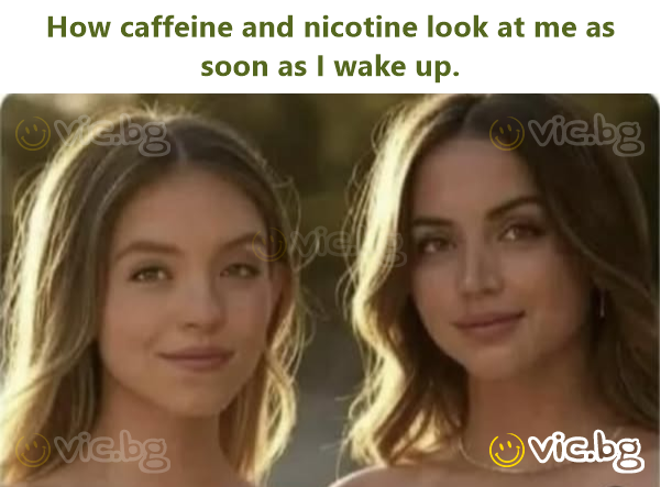 How caffeine and nicotine look at me as soon as I wake up.