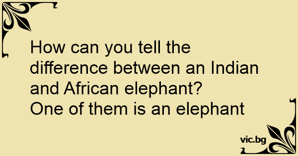 How can you tell the difference between an Indian and African elephant