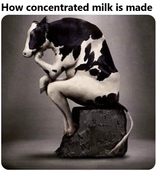How concentrated milk is made