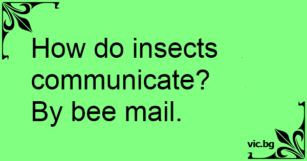 how-do-insects-communicate-by-bee-mail