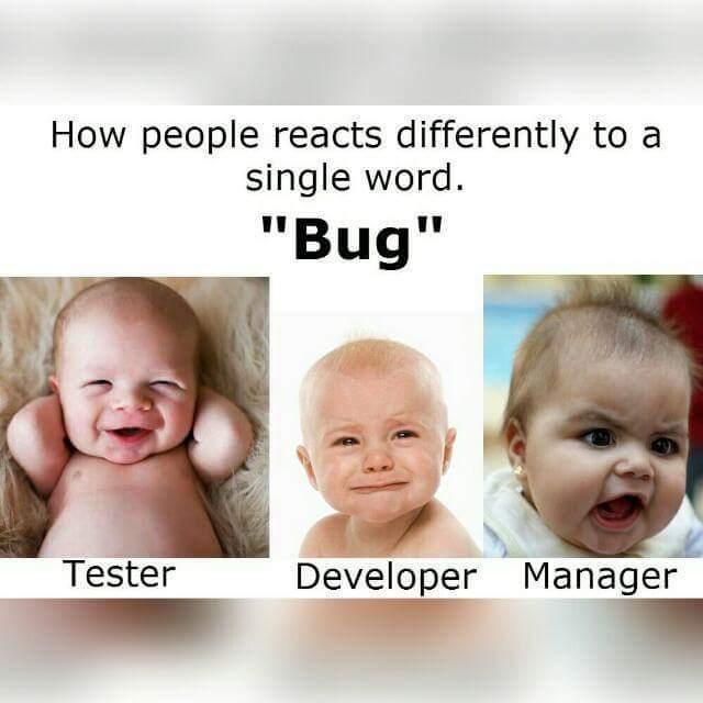 How people reacts differently to a single word "Bug"