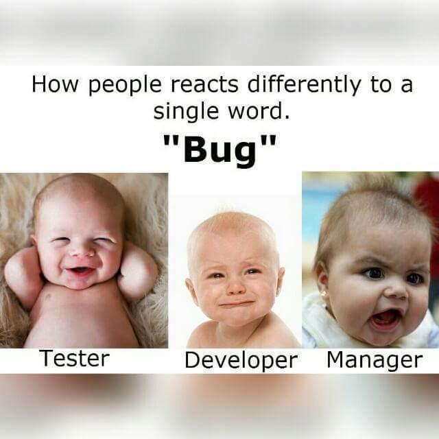 How people reacts differently to a single word "Bug" 
