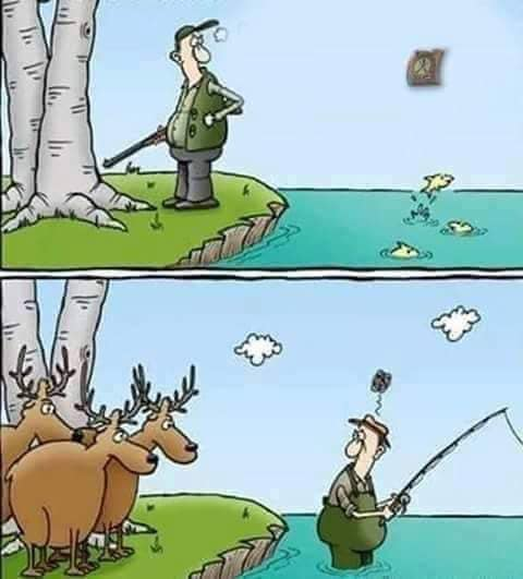 Hunting and fishing