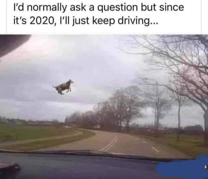 I'd normally ask a question but since it's 2020, I'll just keep driving