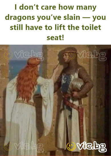 I don’t care how many dragons you’ve slain — you still have to lift the toilet seat!