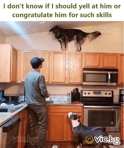 I don't know if I should yell at him or congratulate him for such skills