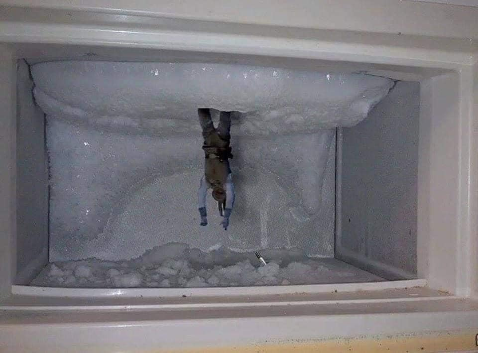 I guess I should probably defrost my freezer!