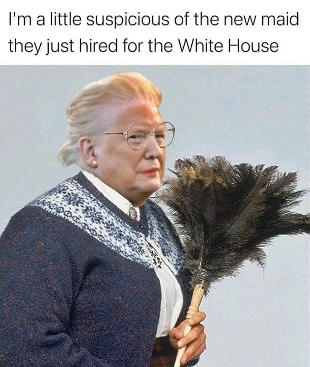 I'm a little suspicious of the new maid they just hired for the White House