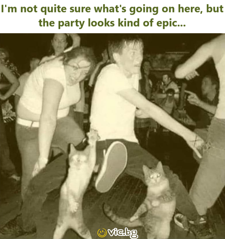 I'm not quite sure what's going on here, but the party looks kind of epic...