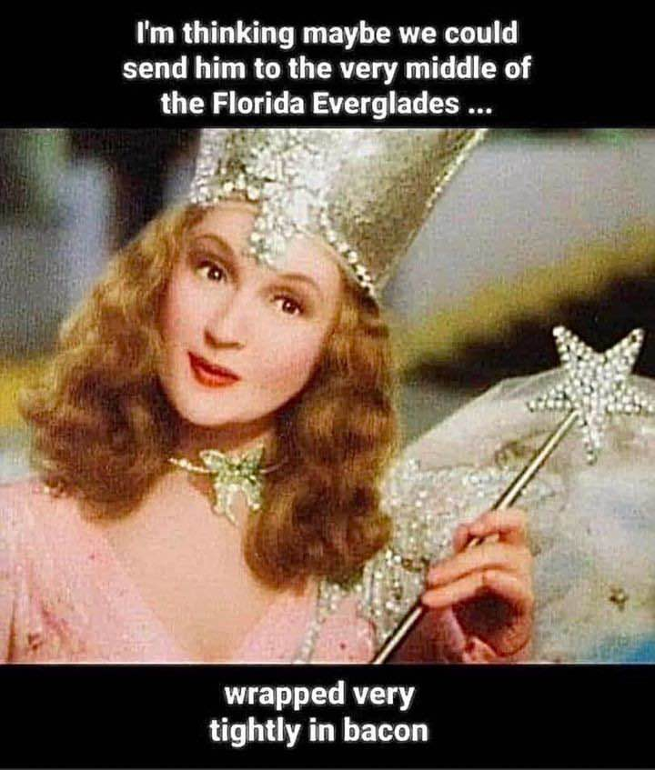 I'm thinking maybe we could send him to the very middle of the Florida Everglades ... Wrapped very tightly in bacon