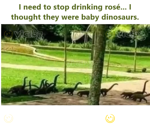I need to stop drinking rosé... I thought they were baby dinosaurs.