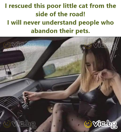 I rescued this poor little cat from the side of the road! I will never understand people who abandon their pets.