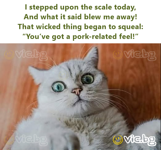 I stepped upon the scale today, And what it said blew me away! That wicked thing began to squeal: “You’ve got a pork-related feel!”