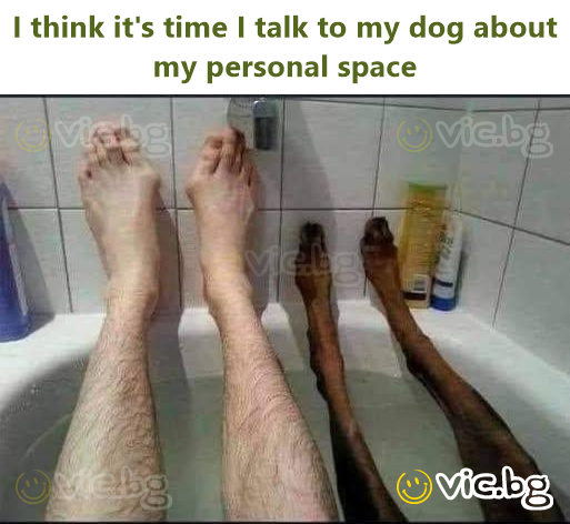 I think it's time I talk to my dog about my personal space