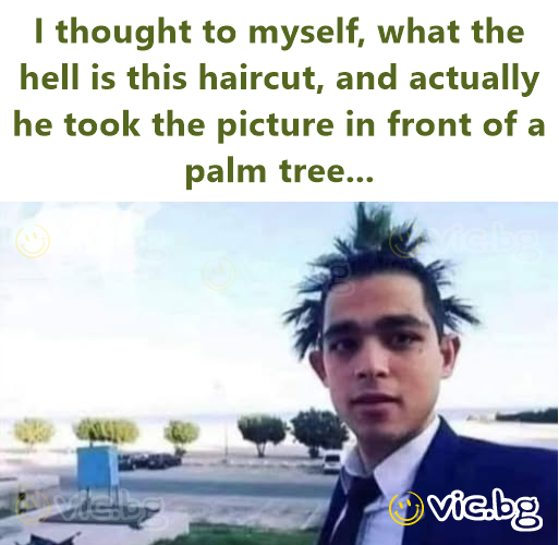 I thought to myself, what the hell is this haircut, and actually he took the picture in front of a palm tree...