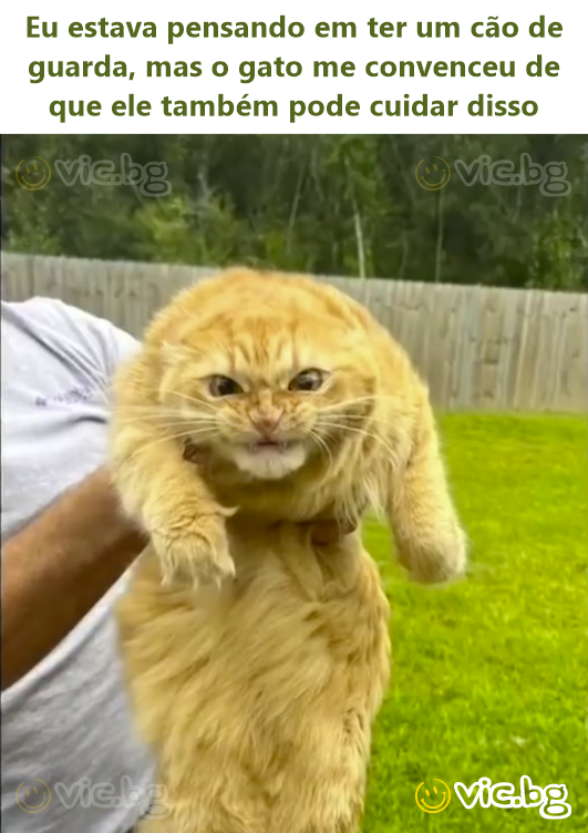 I was thinking of getting a guard dog, but the cat convinced me she can handle it too