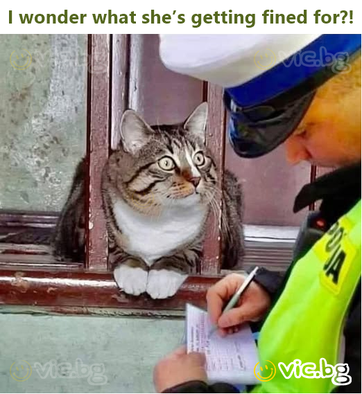 I wonder what she’s getting fined for?!