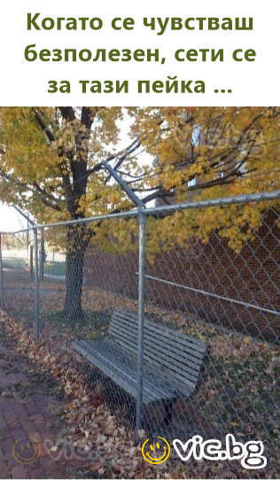 If you feel useless, think of this bench
