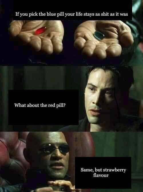 If you pick the bllue pill your life stays as shit as it was What about the red pill? Same, but strawberry flavour