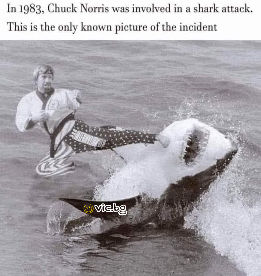 In 1983, Chuck Norris was involved in a shark attack. This is the only known picture of the incident