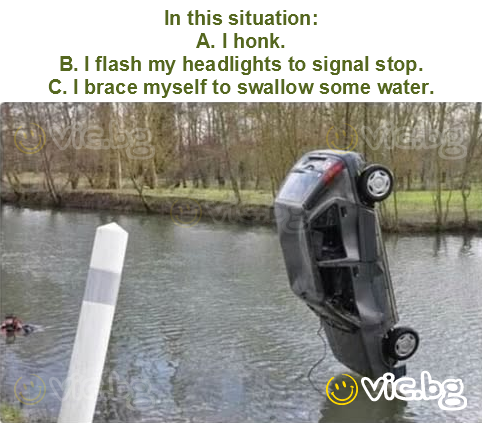 In this situation:
A. I honk.
B. I flash my headlights to signal stop.
C. I brace myself to swallow some water.