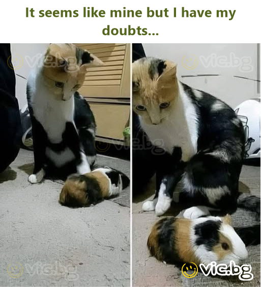 It seems like mine but I have my doubts...